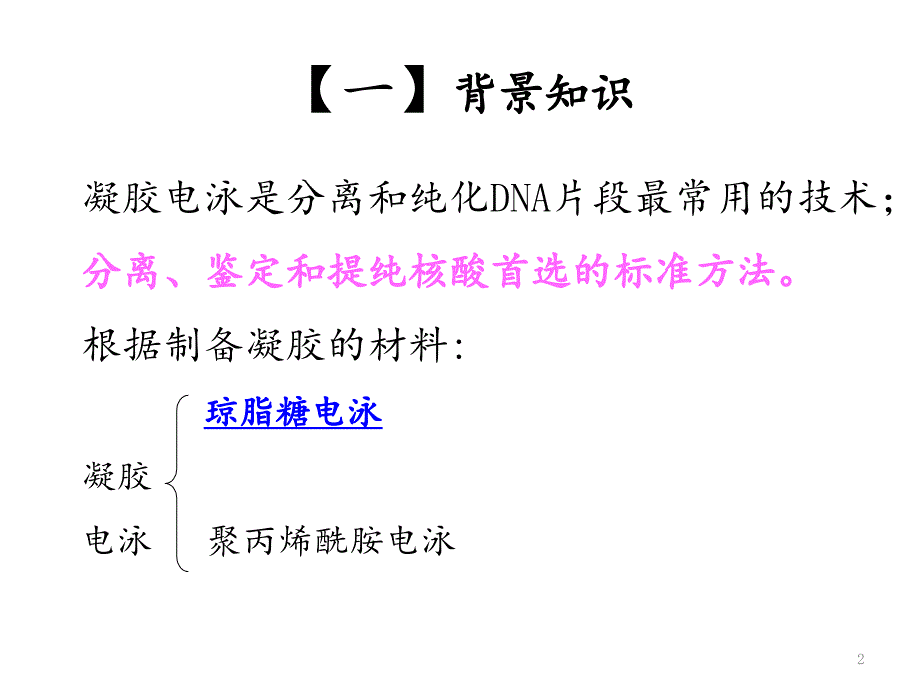 琼脂糖凝胶电泳检测dna文档资料_第2页