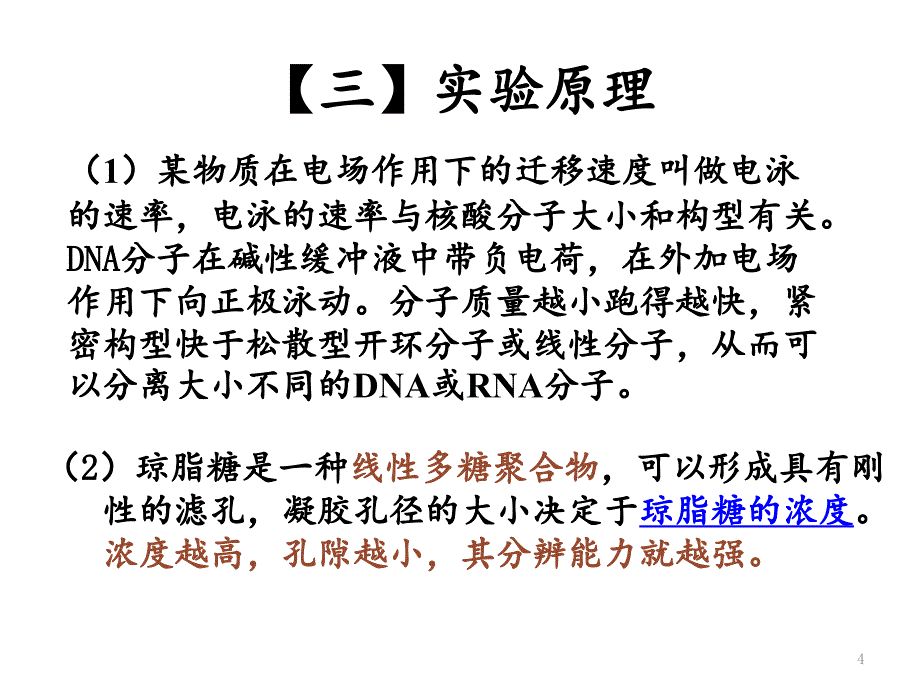 琼脂糖凝胶电泳检测dna文档资料_第4页