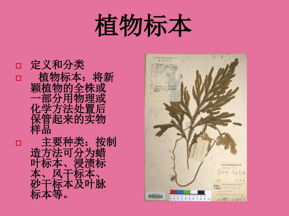 植物标本制作ppt课件_第1页
