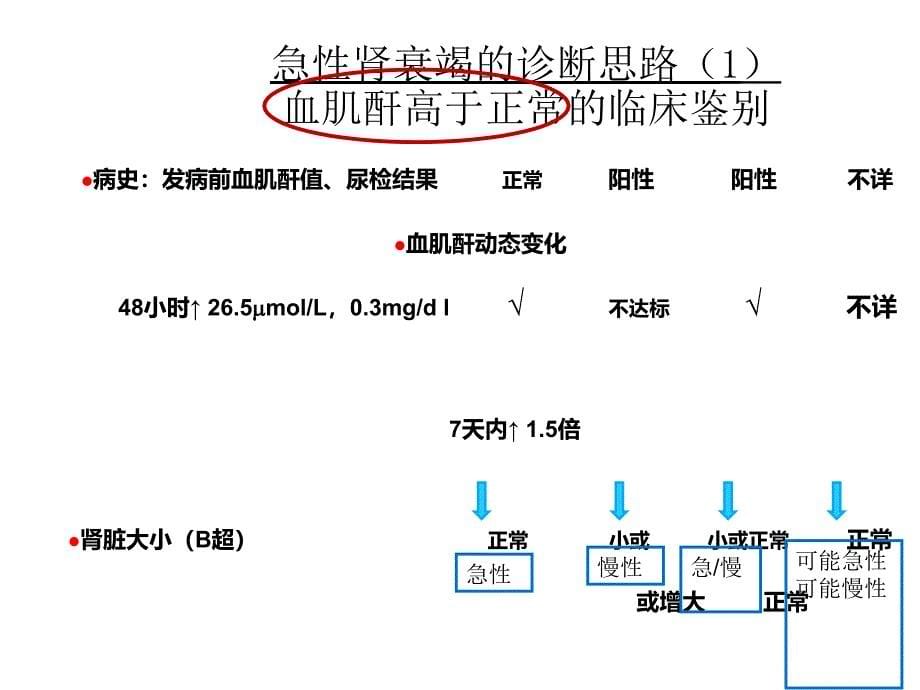 急性肾损伤与急性肾衰竭的诊断、治疗_第5页