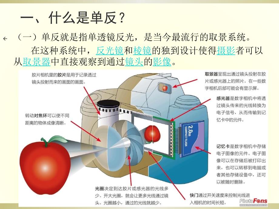 单反相机的关键参数_第1页