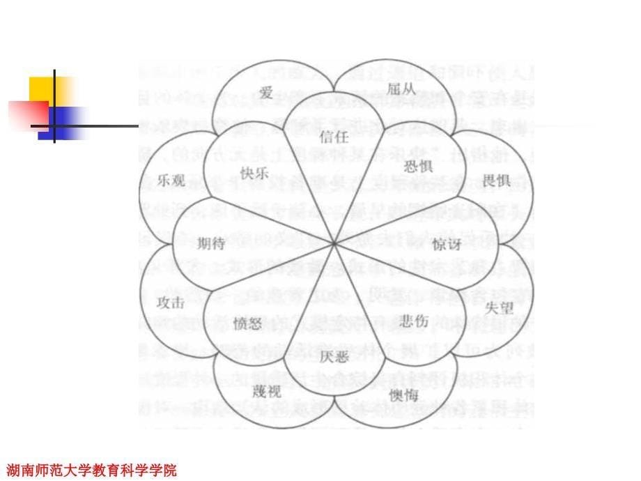 第2章情绪的分类详解课件_第5页