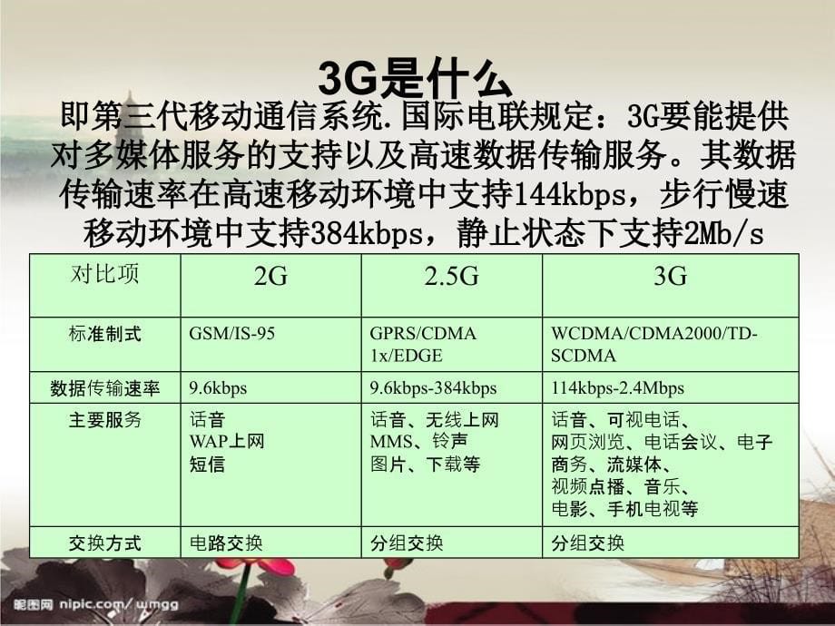 3G发展发展趋势及产业分析加漂亮背景_第5页