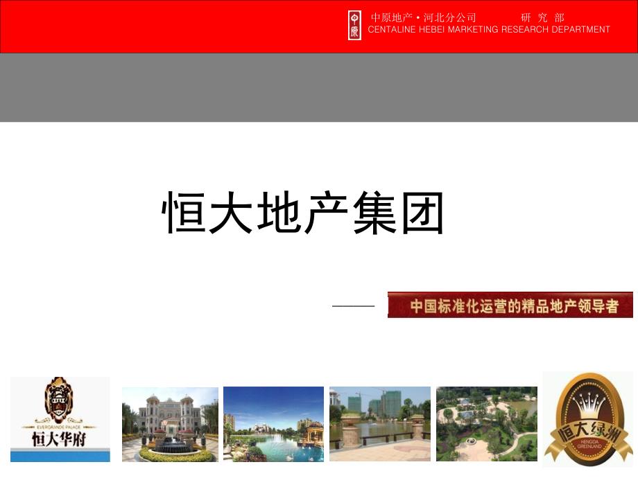 恒大地产集团发展历史及组织架构.ppt_第2页