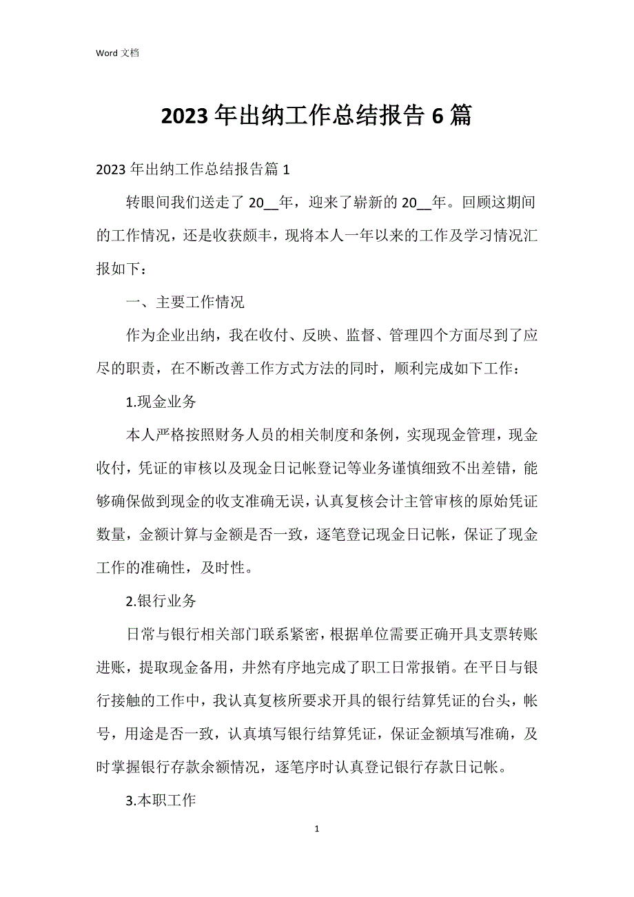 2023年出纳工作总结报告6篇_第1页