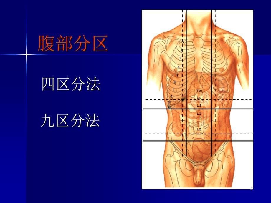 腹部查体ppt课件_第5页