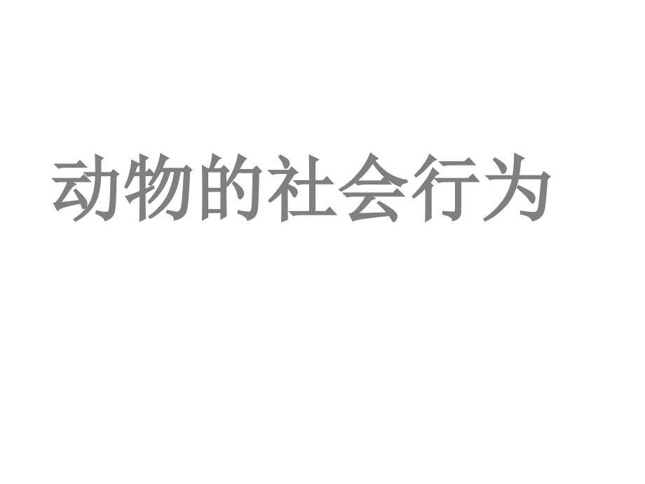 八年级生物动物的社会行为课件_第2页