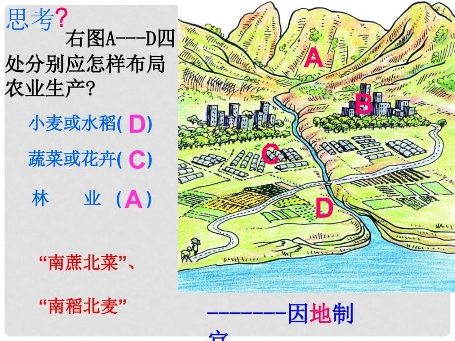 辽宁省大连市四十四中高中地理 《3.2以种植业为主的农业地域类型》课件一 新人教版必修2_第5页