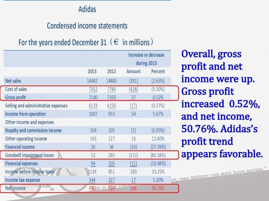 阿迪达斯财务分析ppt课件_第5页