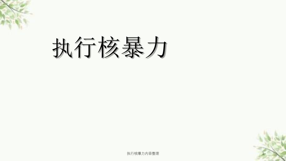 执行核爆力内容整理课件_第1页