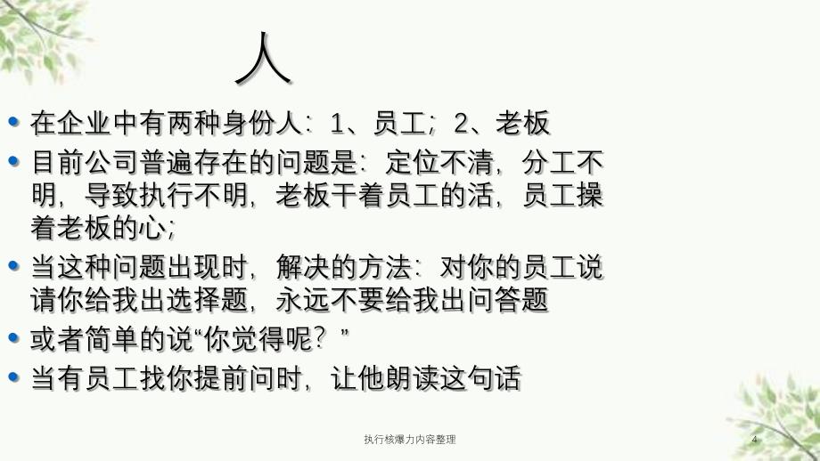 执行核爆力内容整理课件_第4页