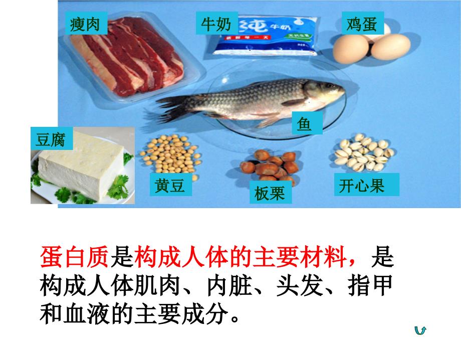 小学四年级下册科学-3.2食物的营养-教科版-(22张)-(2)ppt课件_第4页