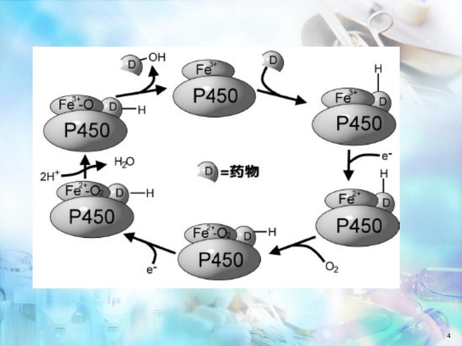 （医学课件）CYP450酶与药物相互作用.ppt_第4页