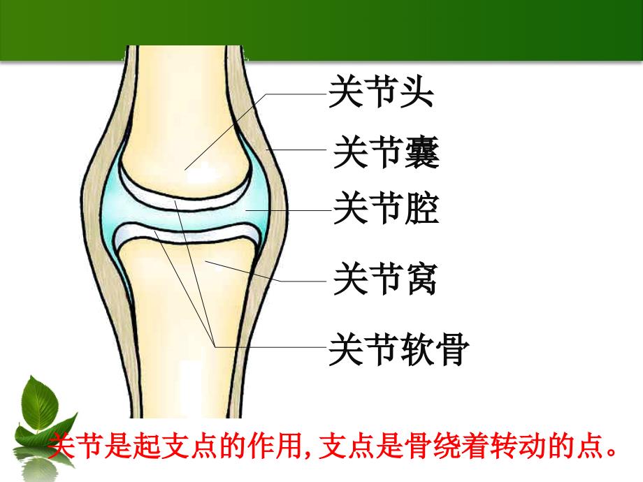 制作倪莉单位王家墩学校_第4页