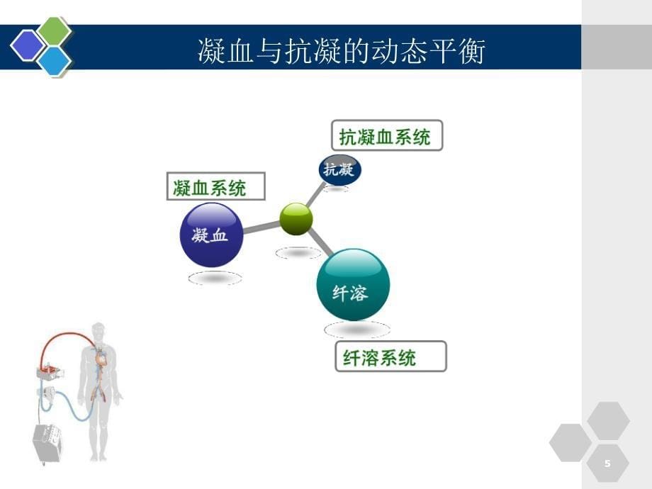 ECMO中的抗凝学习PowerPoint 演示文稿_第5页