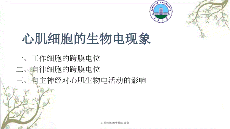 心肌细胞的生物电现象_第1页