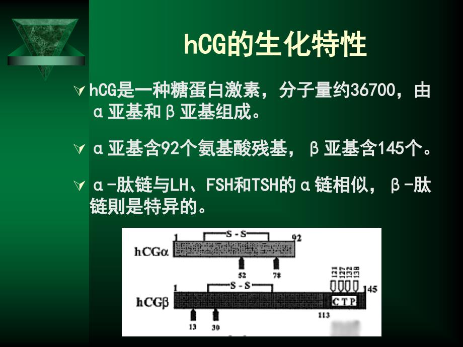 HCG定量检测的意义_第3页