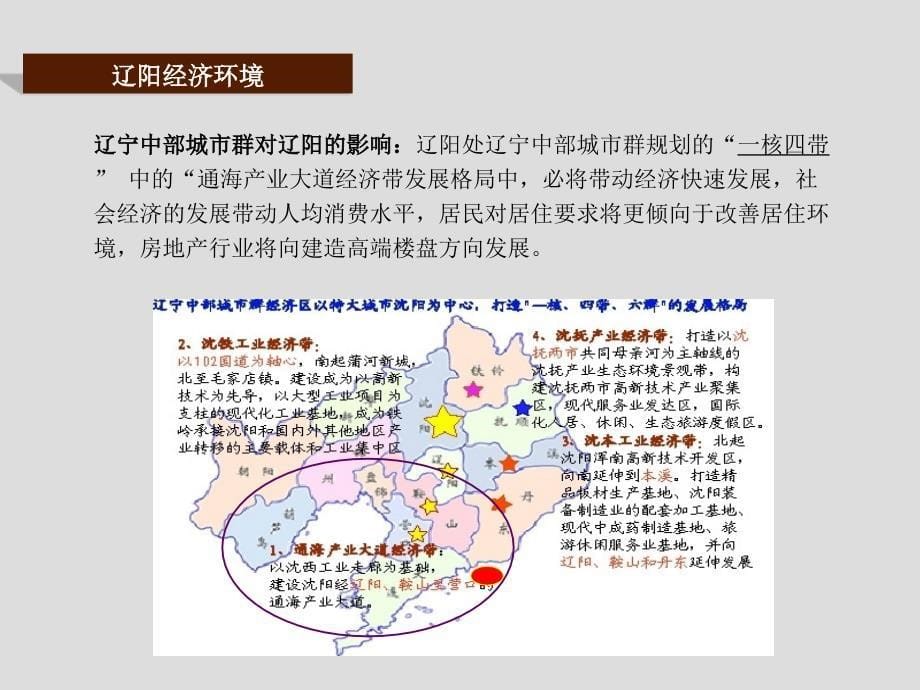 辽阳意航世纪城项目整体开发及营销策略建议(115页）_第5页