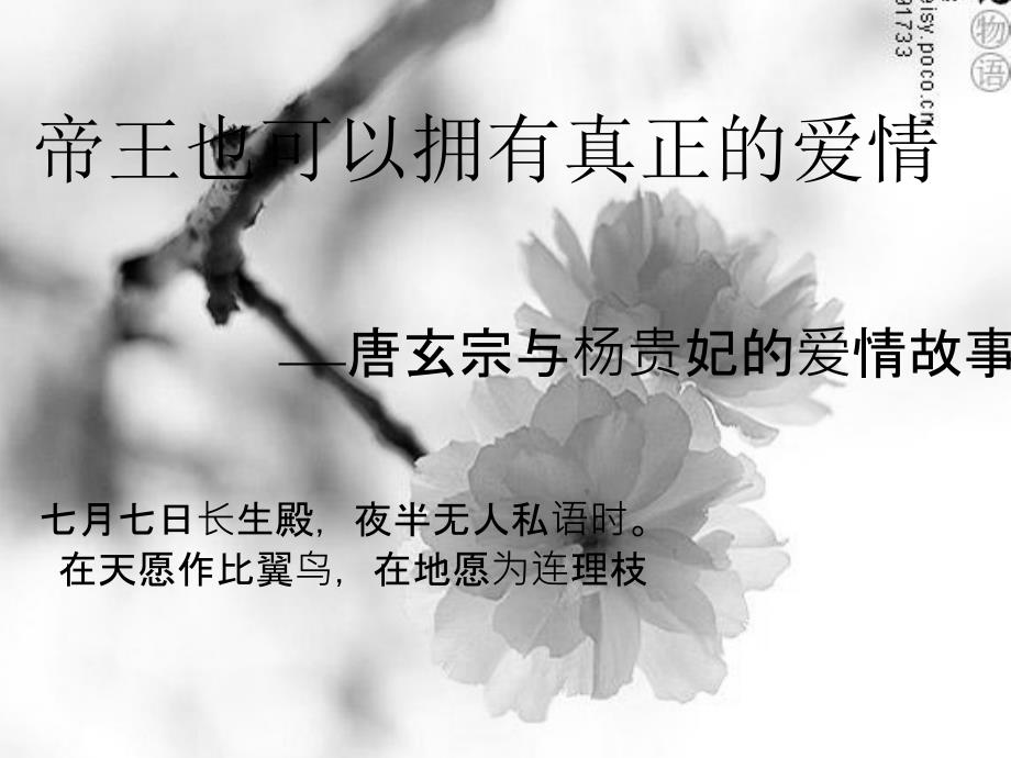 杨贵妃和唐玄宗的轰轰烈烈之爱_第1页