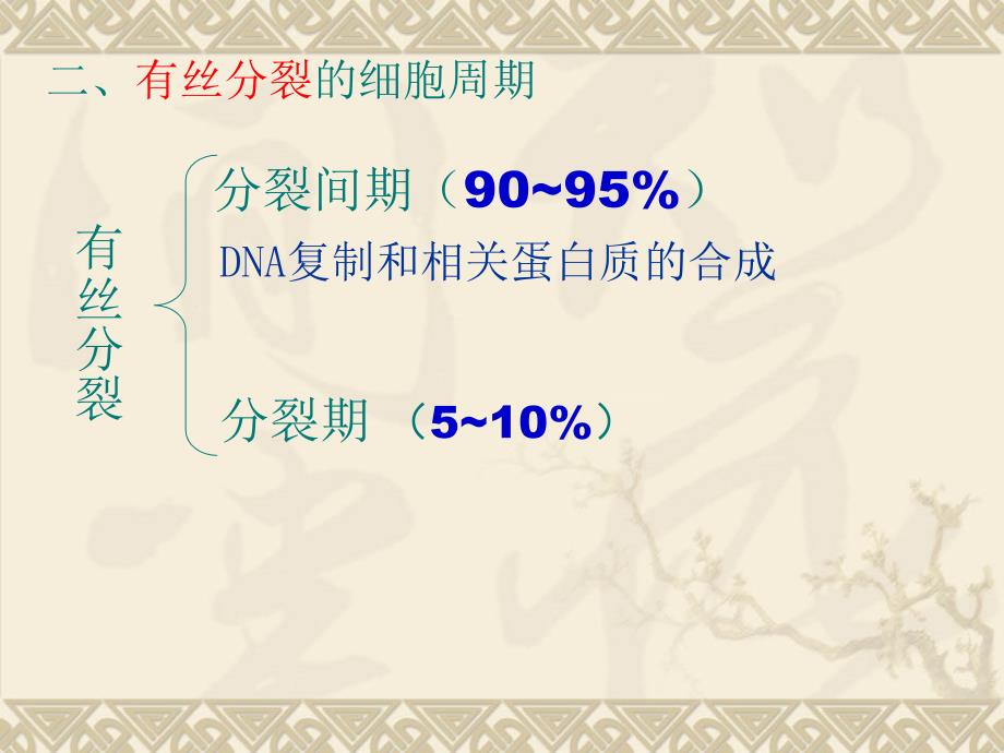 有丝分裂(全内容)7949_第4页