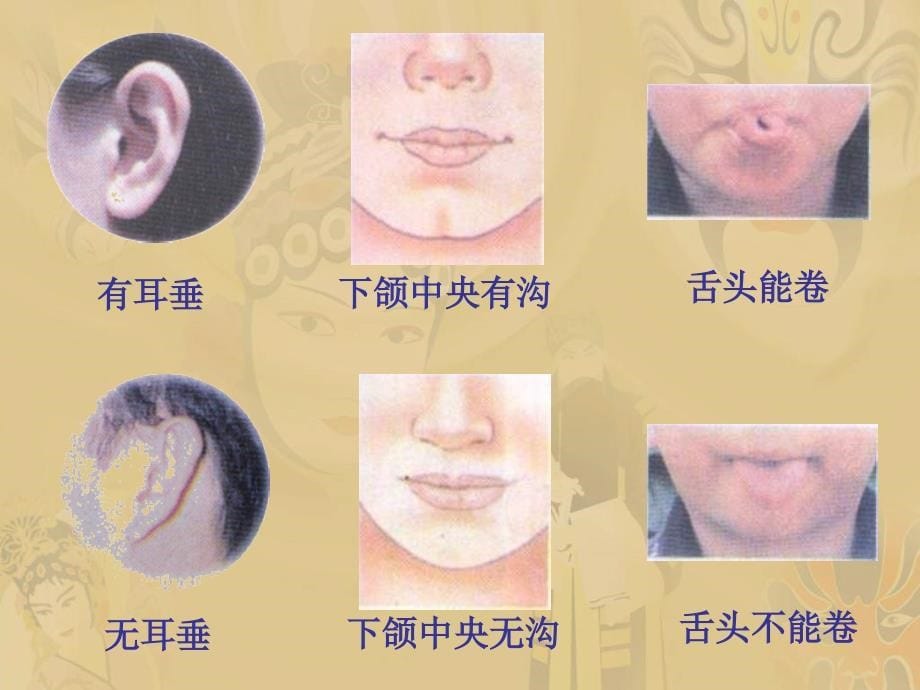 苏教小学科学六下《2.2．生物的变异现象》PPT课件(7)_第5页