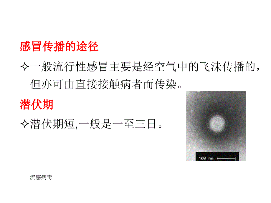 流行性感冒知识和预防措施_第4页