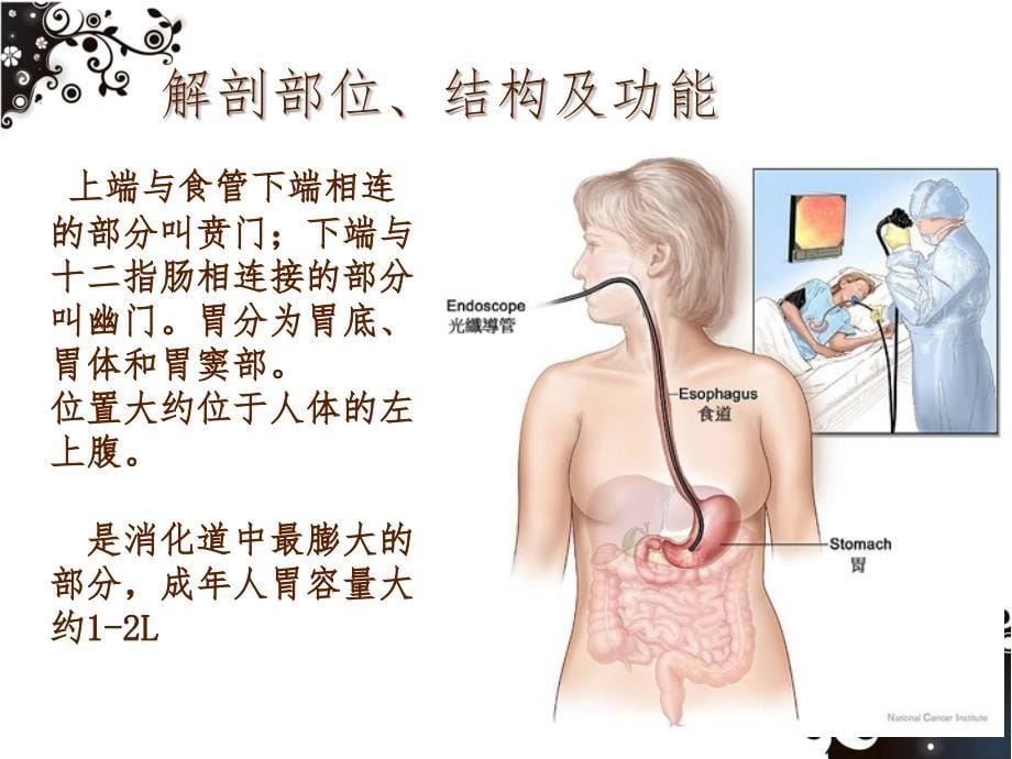 胃癌病人的护理详解_第5页