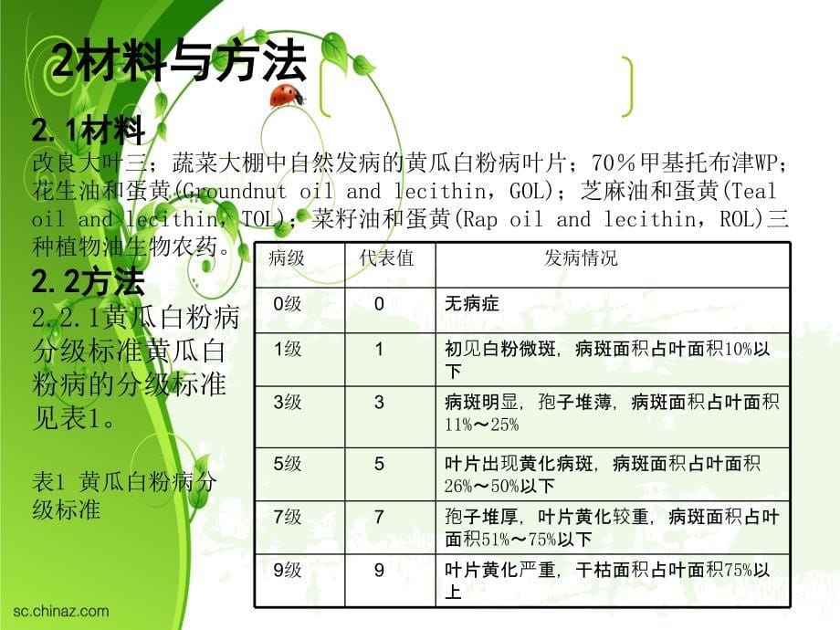 保护环境PPT模板_第5页