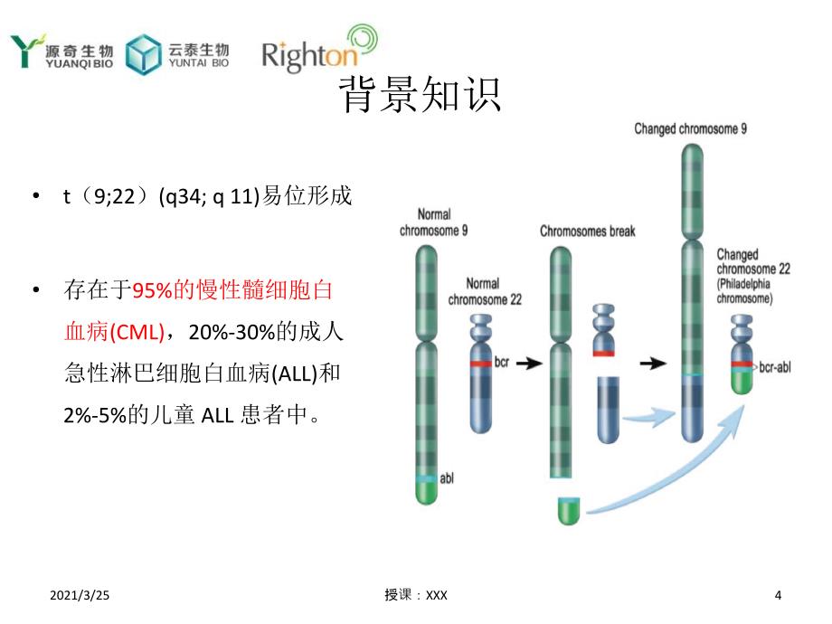 BCR-ABL概述PPT课件_第4页