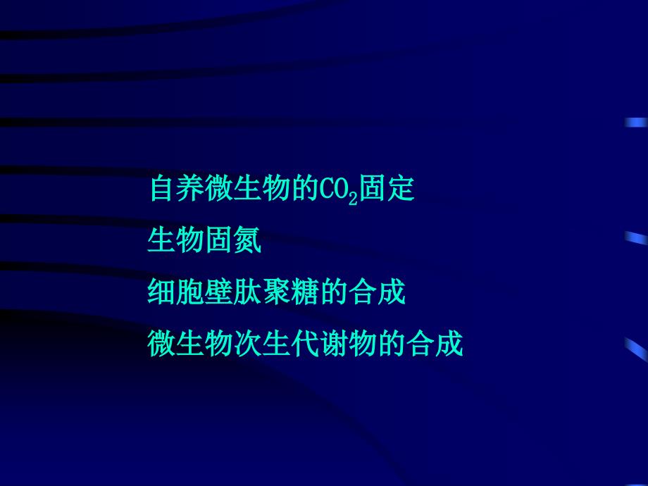 【生物课件】第六章 微生物的新陈代谢 第三节 微生物独特合成代谢途径举例_第3页