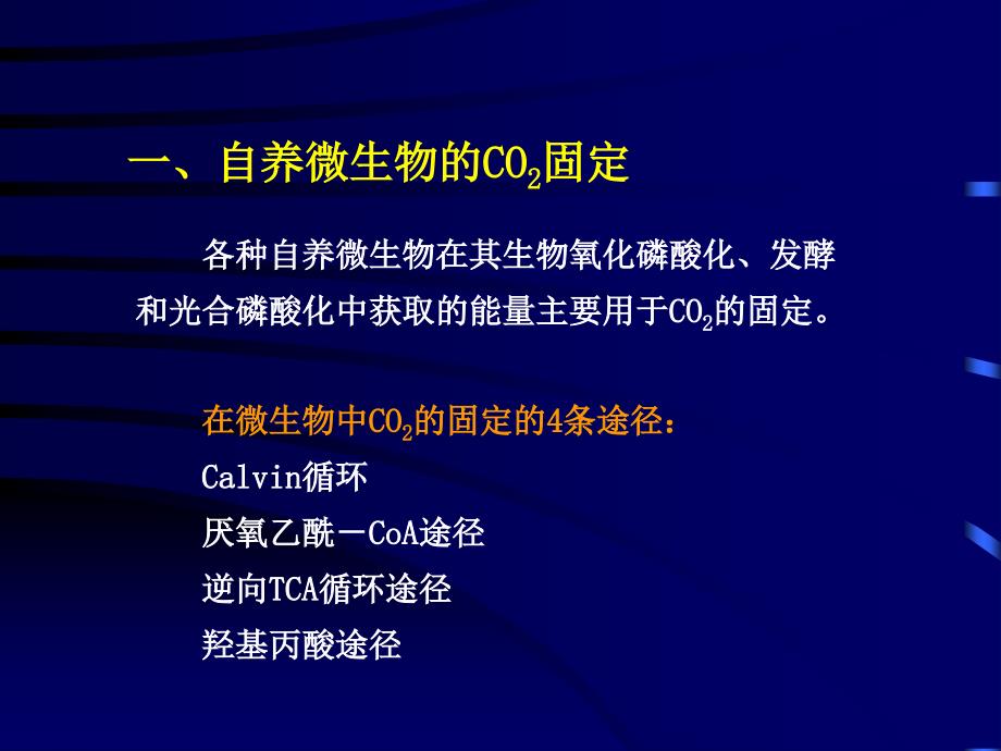 【生物课件】第六章 微生物的新陈代谢 第三节 微生物独特合成代谢途径举例_第4页