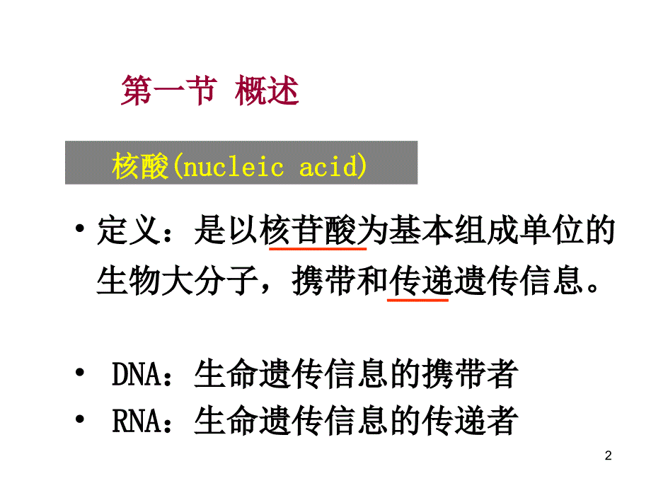 医学第2章核酸化学_第2页