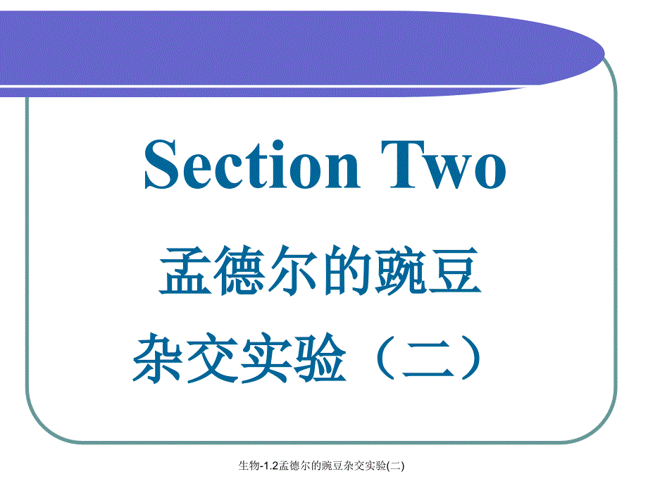 生物1.2孟德尔的豌豆杂交实验二课件_第2页