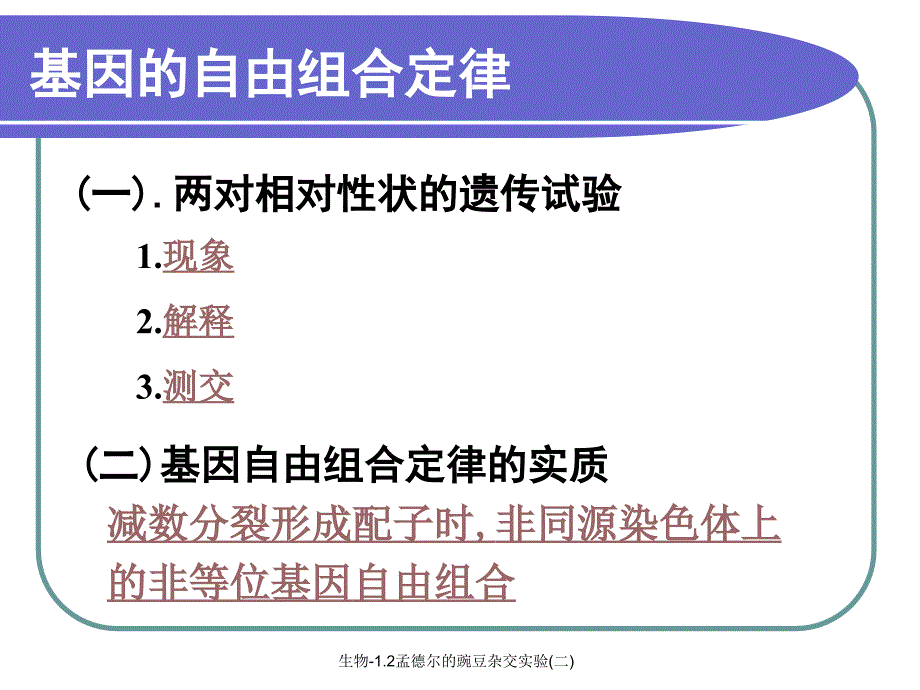 生物1.2孟德尔的豌豆杂交实验二课件_第4页