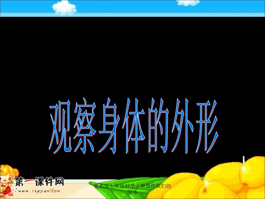 鄂教版五年级科学上册课件我们的身体课件_第2页