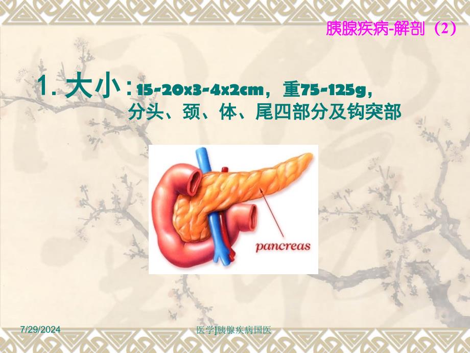 医学胰腺疾病国医课件_第4页