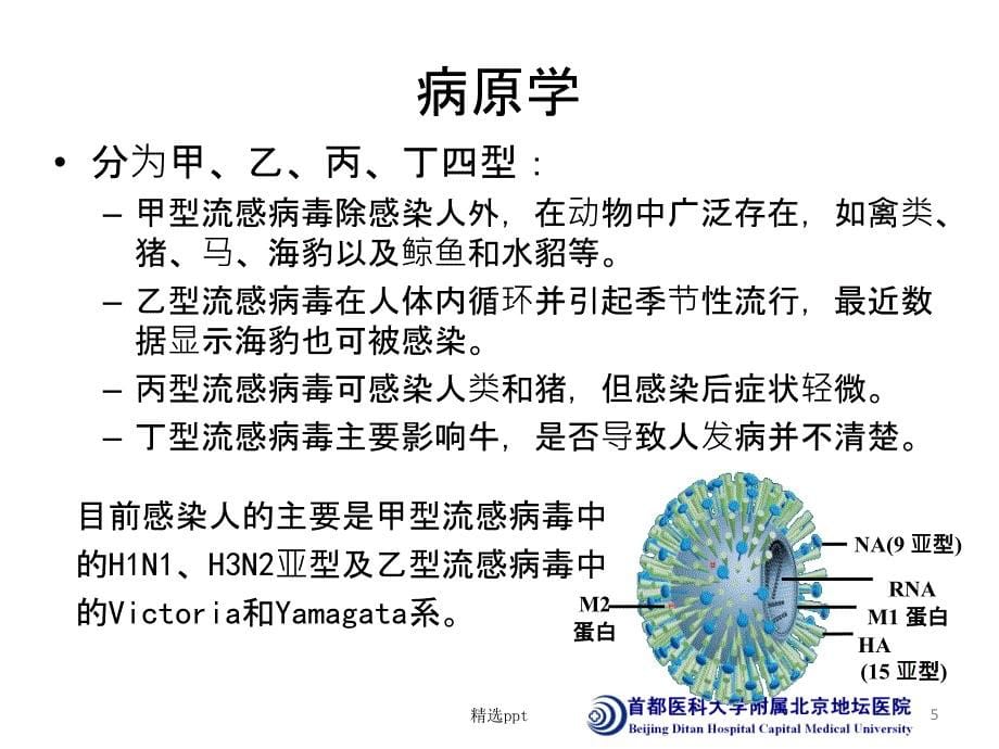 流感诊疗方案1_第5页