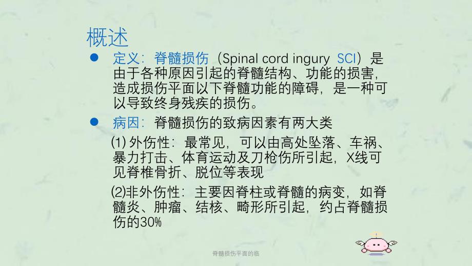 脊髓损伤平面的临课件_第3页
