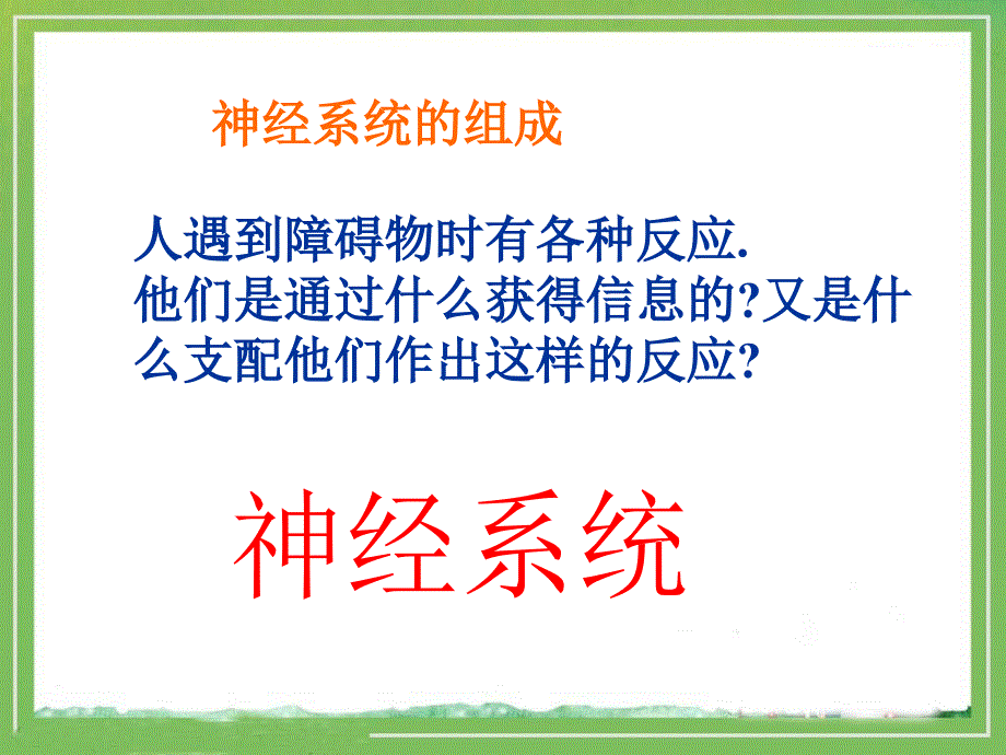 《人体的神经调节》参考课件1_第4页