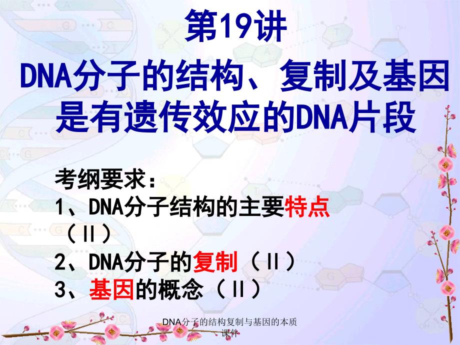 DNA分子的结构复制与基因的本质课件_第2页