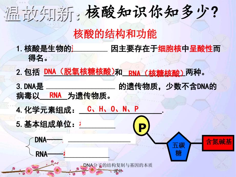 DNA分子的结构复制与基因的本质课件_第3页