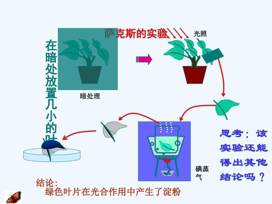 高中生物 第4章第2节《光合作用》课件 苏教版必修1_第5页