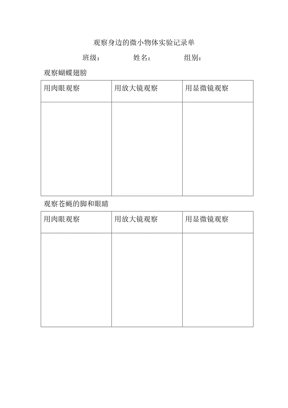 观察身边的微小物体（记录单） 教科版六年级科学上册_第1页