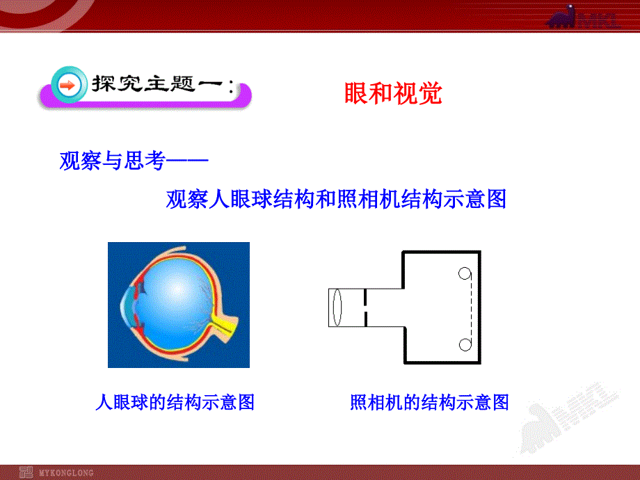 第1节人体对外界环境的感知_第4页