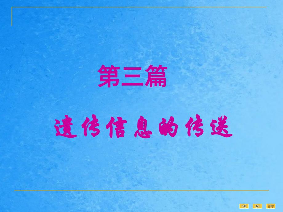 人卫8版真核基因与基因组ppt课件_第2页