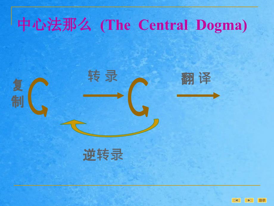 人卫8版真核基因与基因组ppt课件_第4页