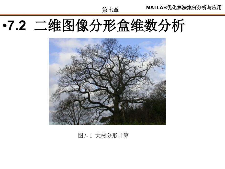 第7章--分形维数应用与MATLAB实现ppt课件_第4页