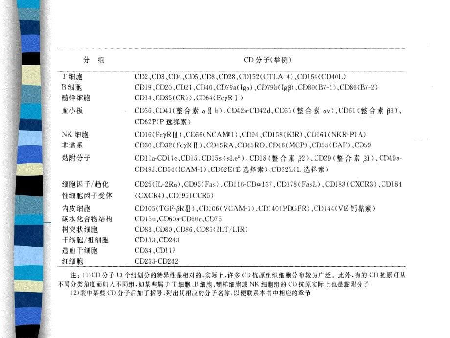 CD分子研究生课件.ppt_第5页