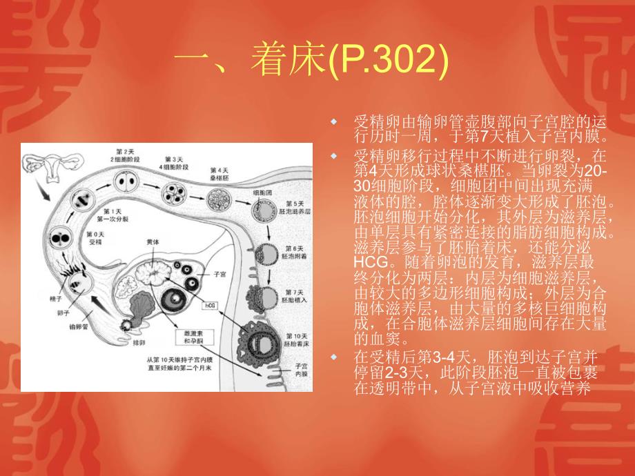 着床妊娠分娩与授乳_第3页