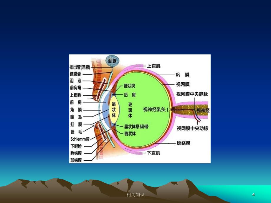 职业性眼病【行业特制】_第4页